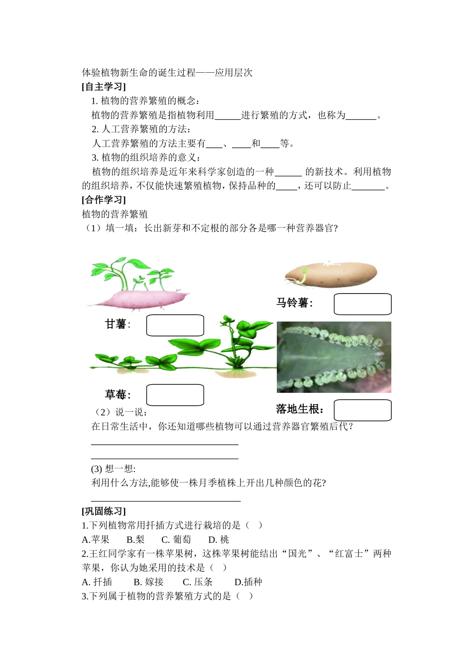 20植物的生殖和发育_第3页