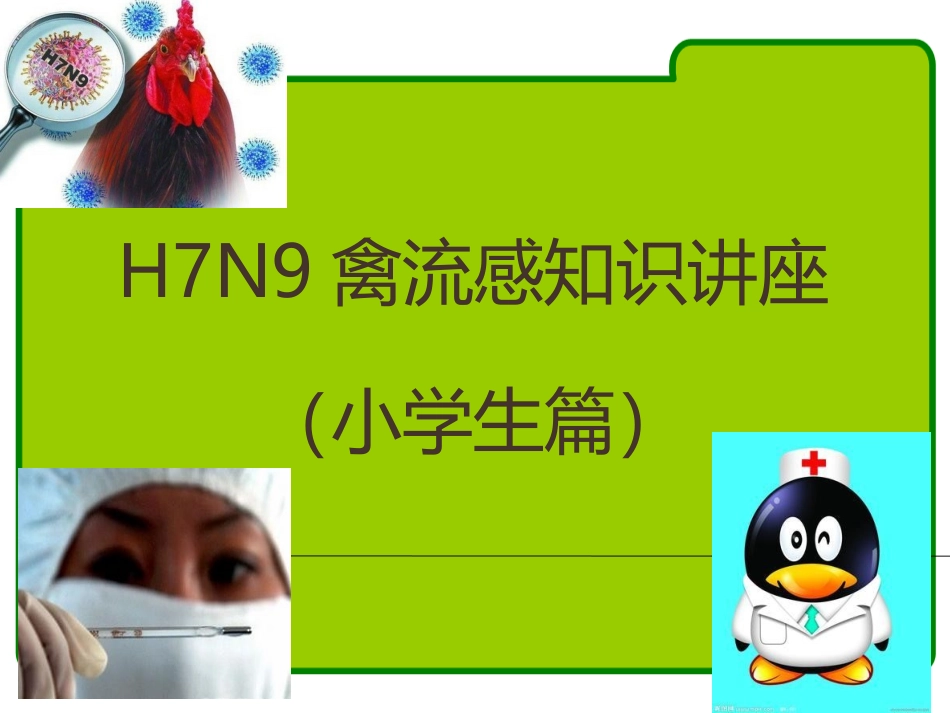 小学生主题班会：警惕新型禽流感_第2页