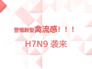 小学生主题班会：警惕新型禽流感