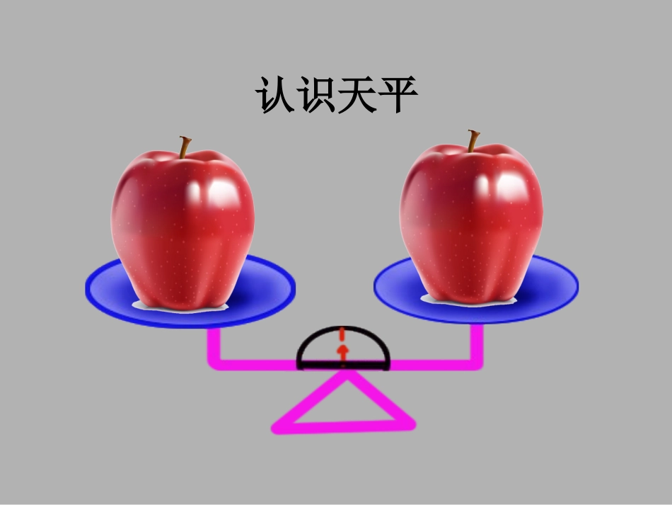 五下找次品课件_第3页