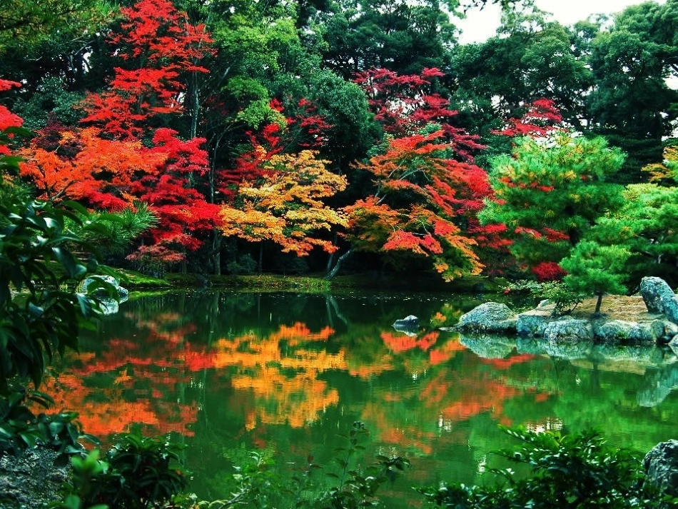 小学二年级语文秋天的图画［人教版］_第2页