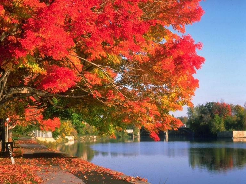 小学二年级语文秋天的图画［人教版］_第3页