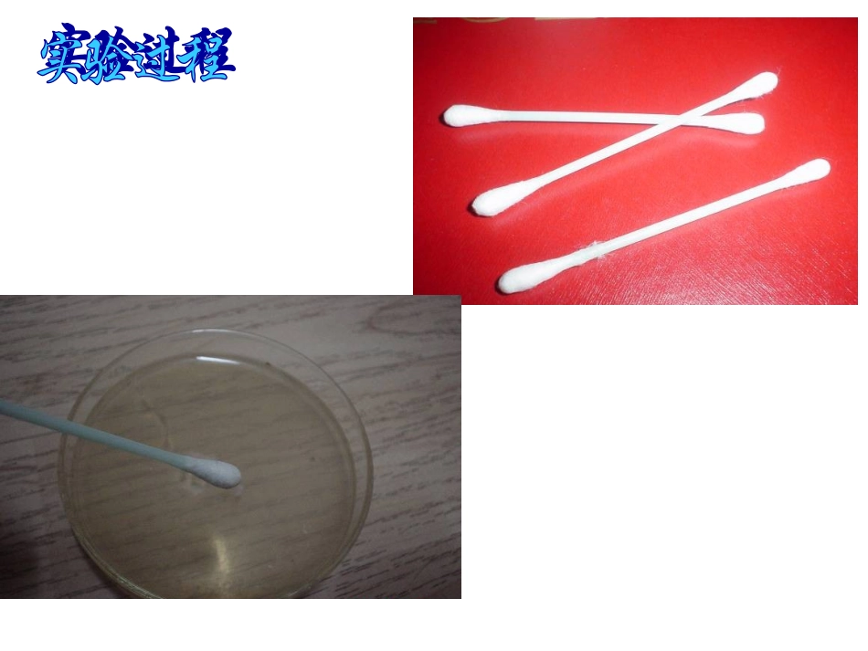 探究细菌的生长_第3页