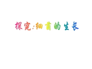 探究细菌的生长