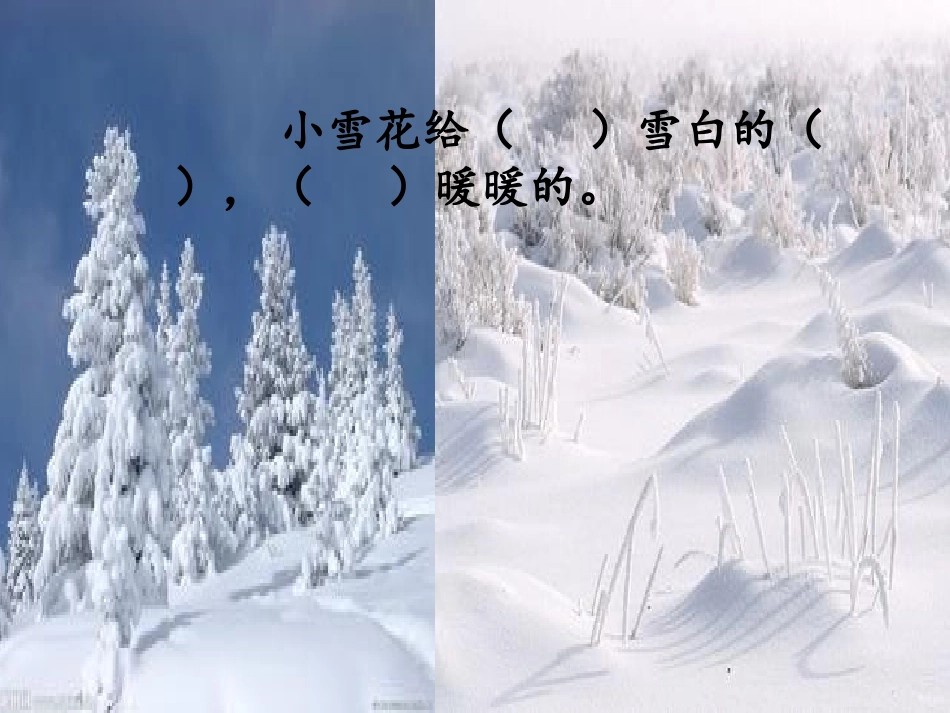 夏天和冬天第二课时_第2页