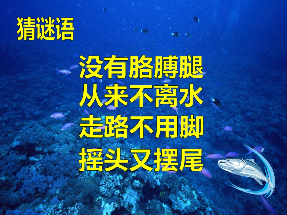 人美版小学美术一年级上册《谁画的鱼最大》课件)_第2页