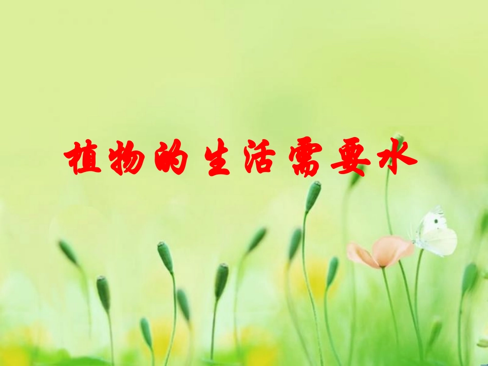 植物生长需要水_第1页