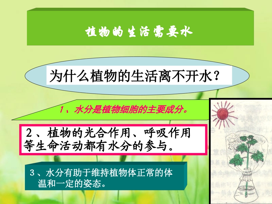 植物生长需要水_第2页