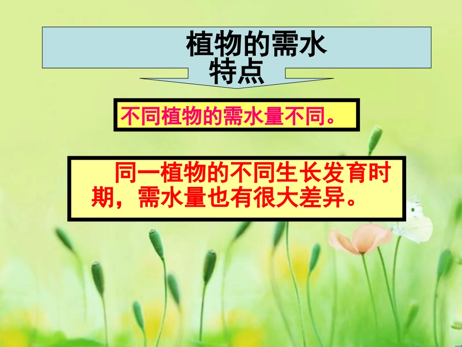 植物生长需要水_第3页
