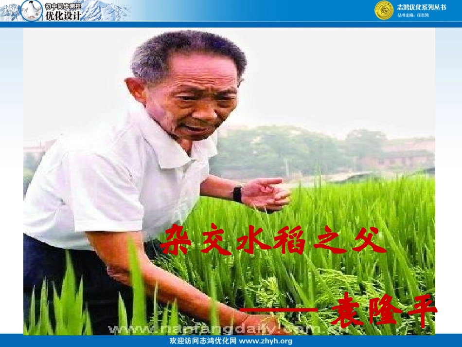 8、杂交水稻之父——袁隆平_第1页