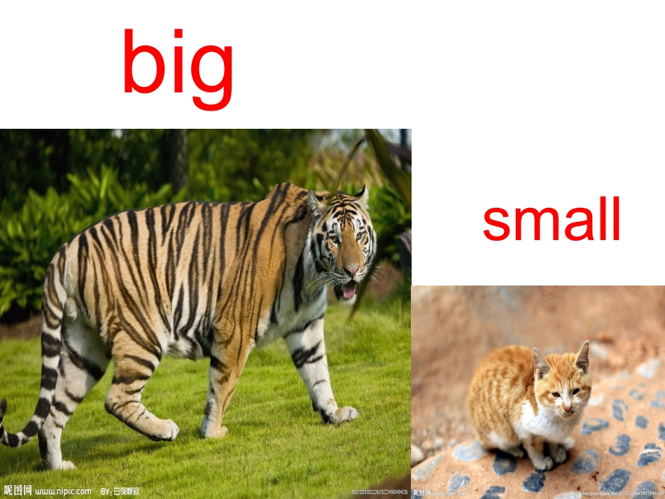 人教PEP版英语三年级下册Unit3(2)课件_第2页