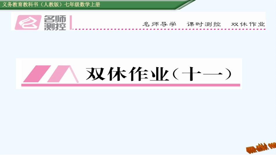双休作业(十一)-(2)_第1页