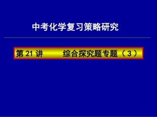 中考化学复习高效课堂第21讲综合探究题专题(3)