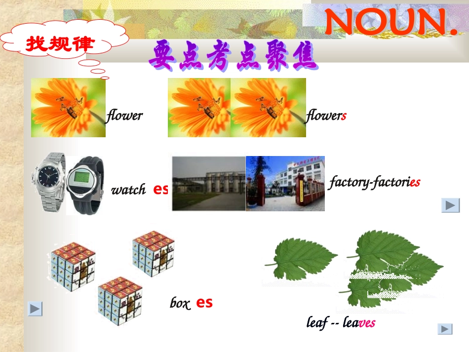 名词、冠词，数词_第2页