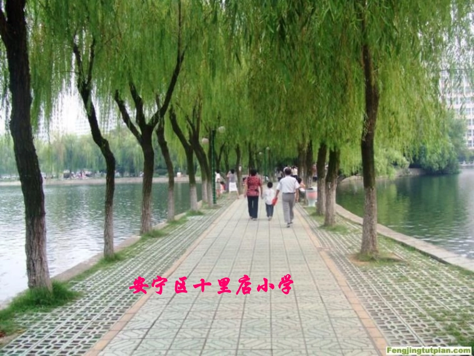 植树问题PPT_第1页