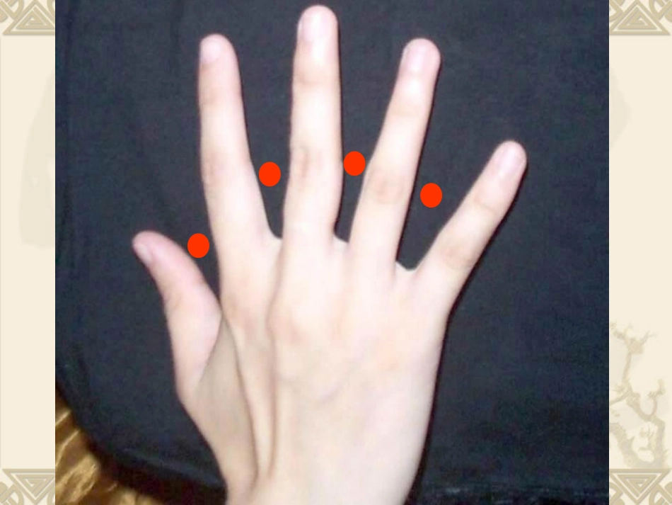 植树问题PPT_第2页