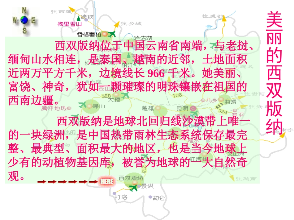19美丽的西双版纳_第1页