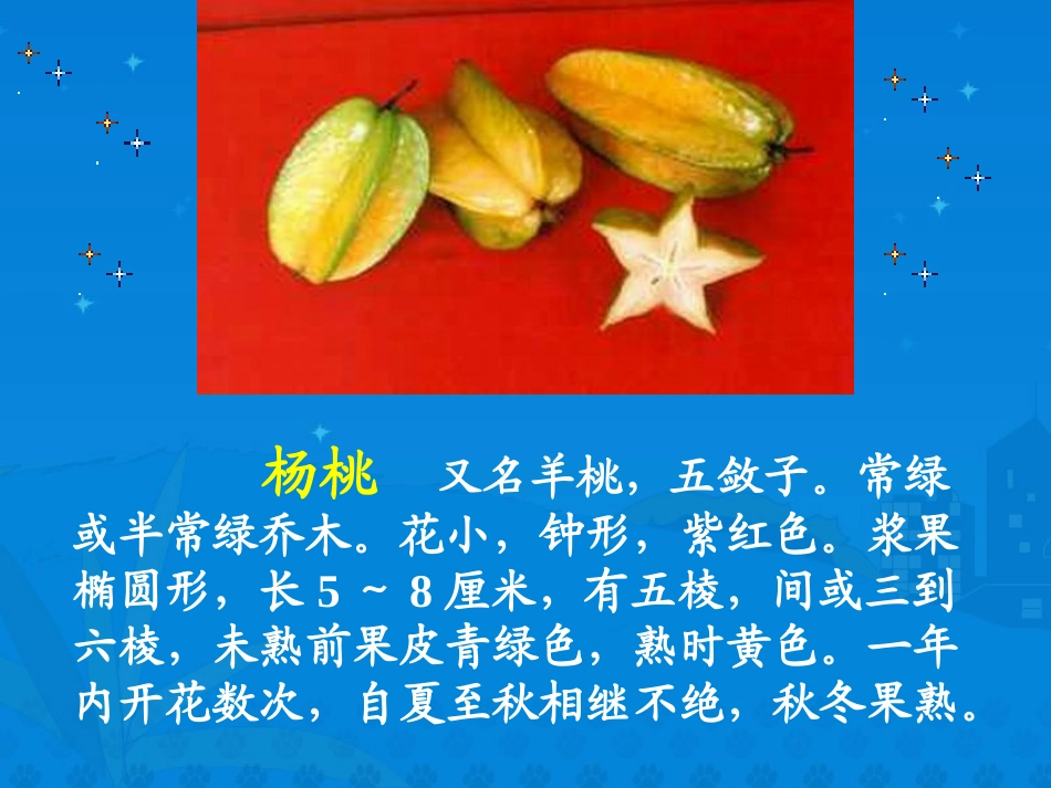 画杨桃课件[1]_第3页