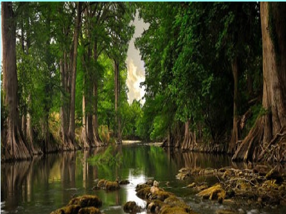 2015春湘教版语文一下《架桥》ppt课件3_第2页