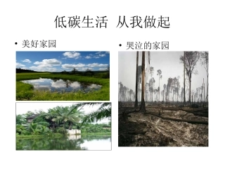 低碳生活从我做起