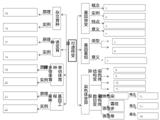 变异和育种知识脉络图
