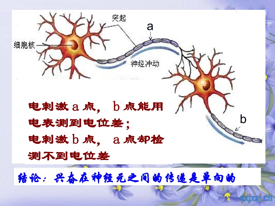 通过神经系统的调节1_第3页
