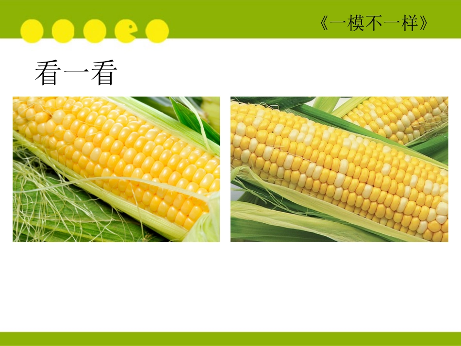 一模不一样--赵燕京_第2页