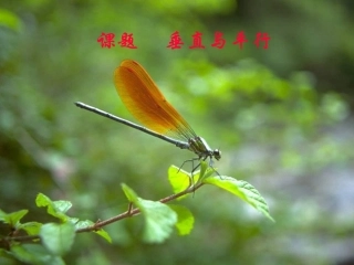 垂直与平行ppt课件-小学四年级数学课件