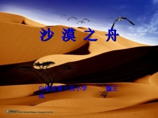 沙漠之舟 (2)