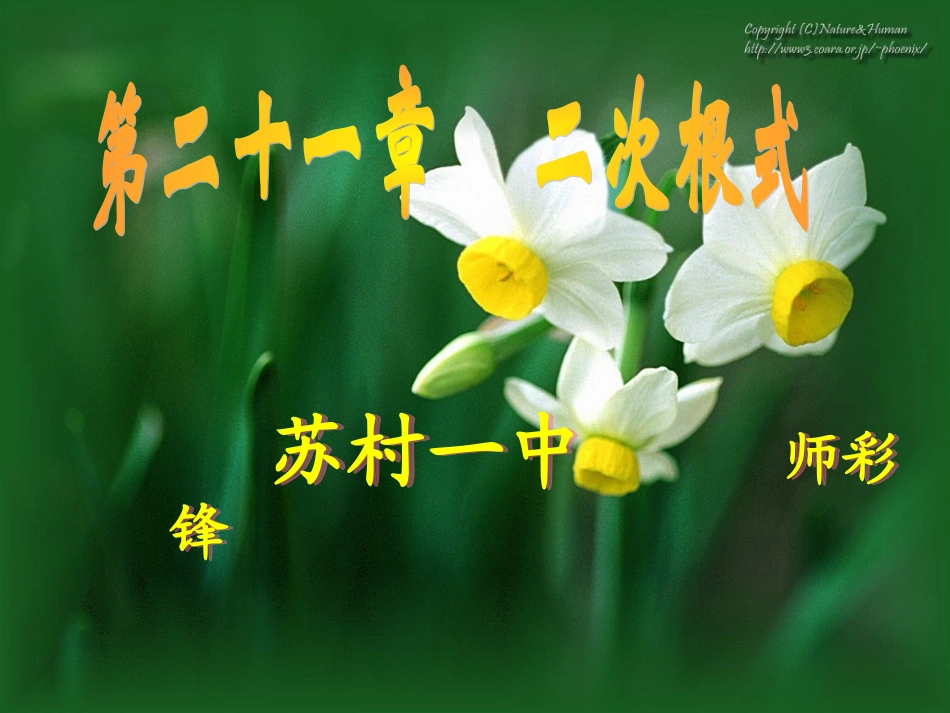 21.1二次根式(1)_第1页