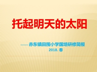 托起明天的太阳-----赤东田围小学国培研修简报