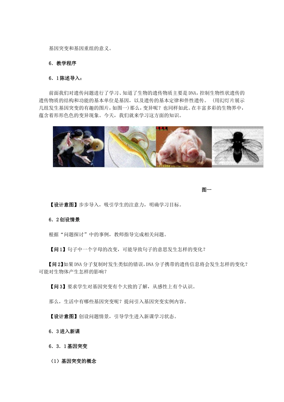 “基因突变和基因重组”的教学设计_第2页