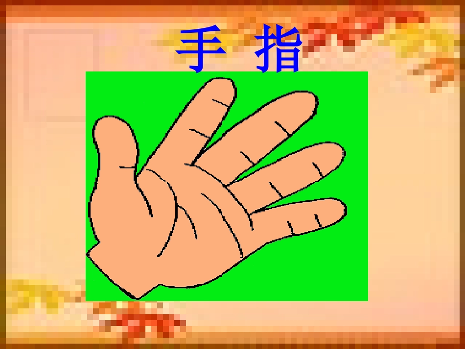 《手指》课件1_第1页