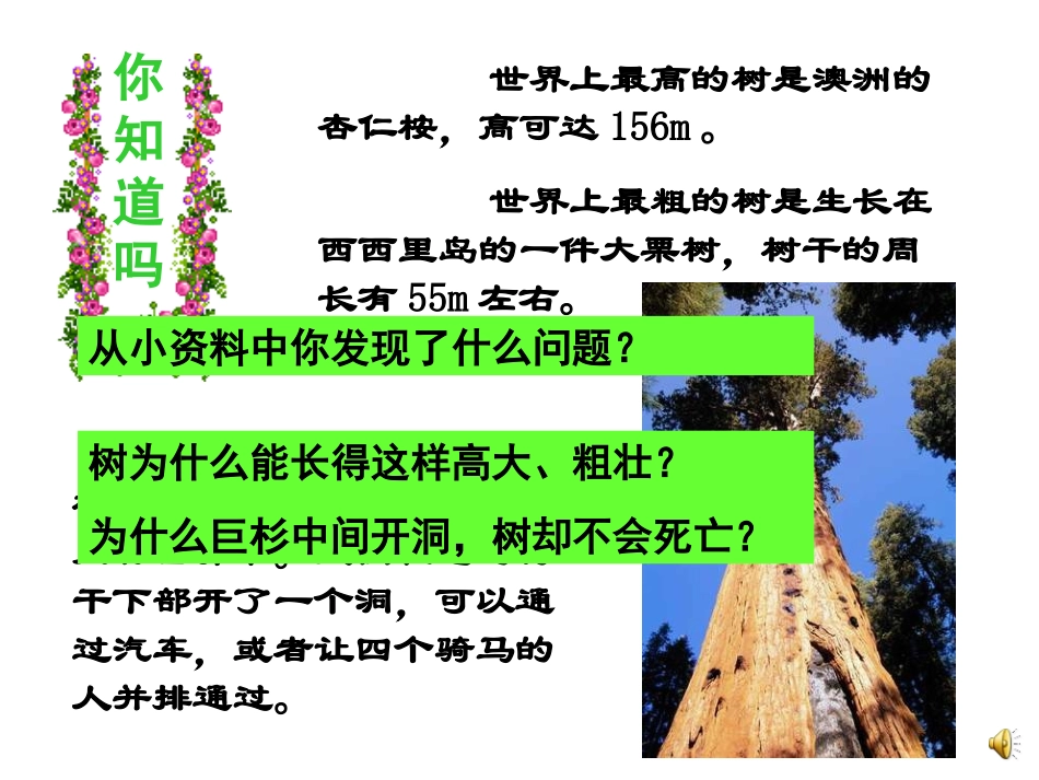 植物茎的输导功能_第2页