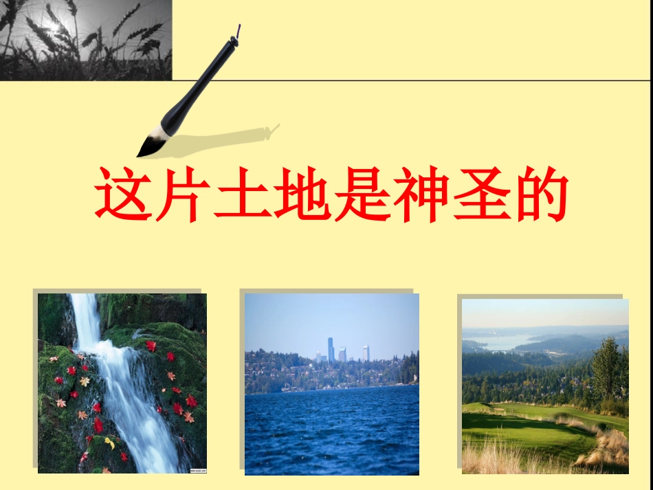 这片土地是神圣的 (3)_第1页