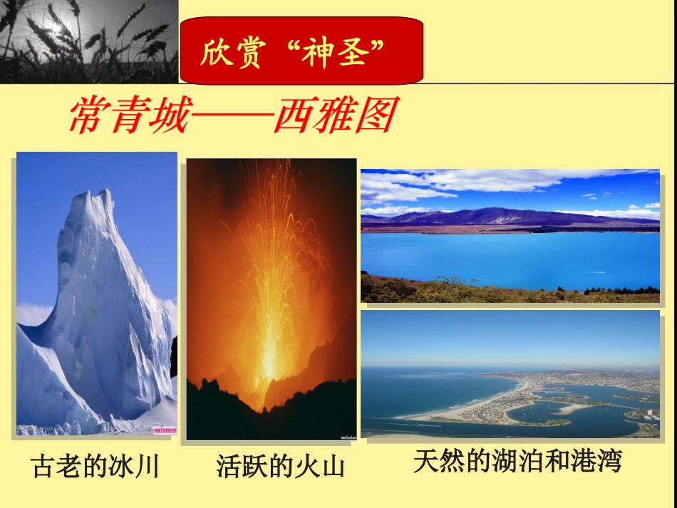 这片土地是神圣的 (3)_第3页