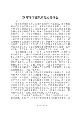 XX年学习正风肃纪心得体会