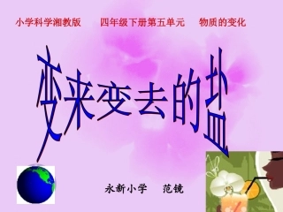 变来变去的盐课件