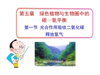 光合作用吸收二氧化碳释放氧气