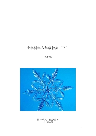 小学科学六年级全部教案（下册）（教科版）