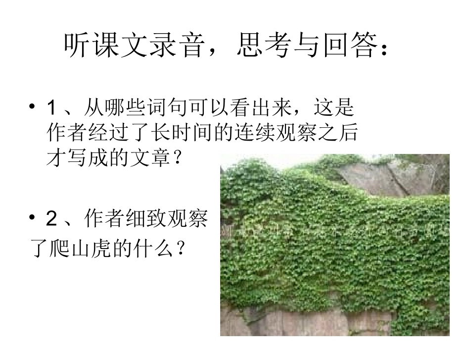 《爬山虎的脚》课件 (3)_第2页