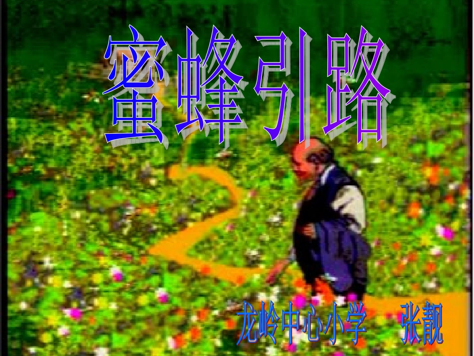蜜蜂引路 (2)_第1页