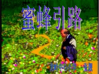 蜜蜂引路 (2)