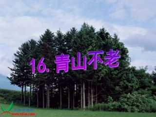 青山不老PPT课件