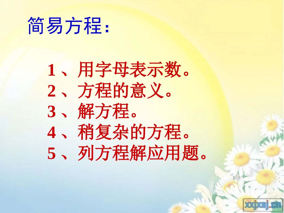 总复习简易方程_第2页