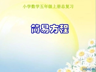 总复习简易方程
