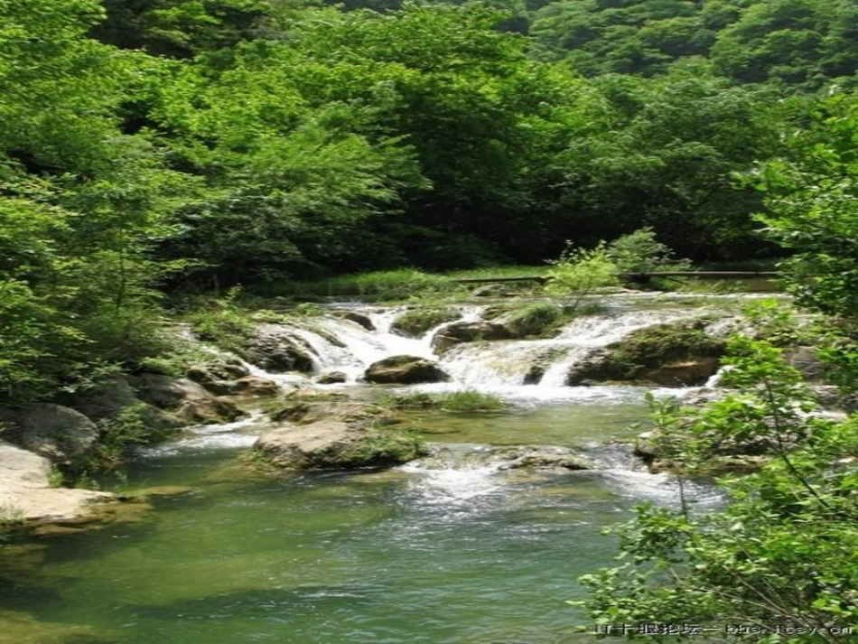 夸家乡虎啸滩_第3页