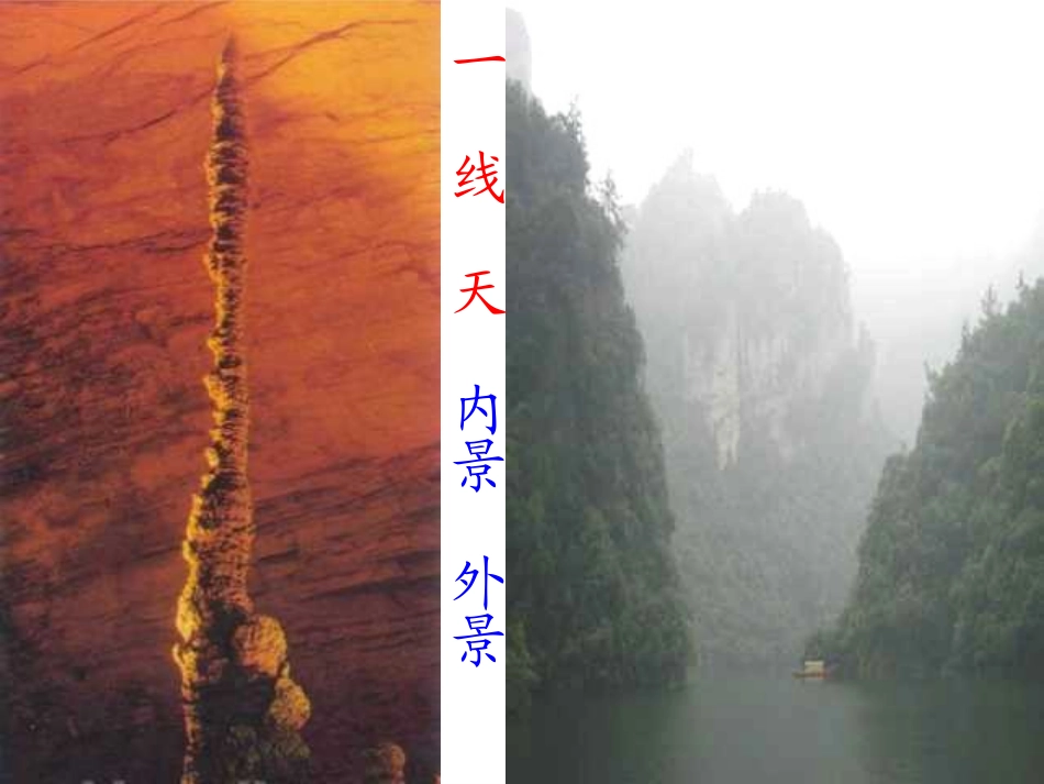 人教版小学语文六年级上册《索溪峪的“野”》PPT课件_第3页