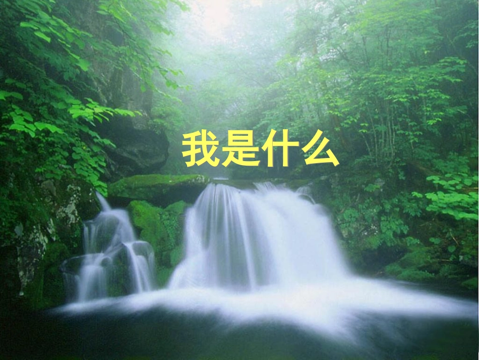 《我是什么》ppt_第1页