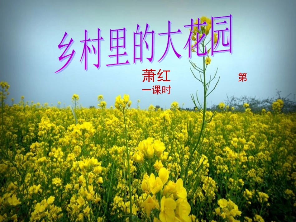 乡村里的大花园23_第1页